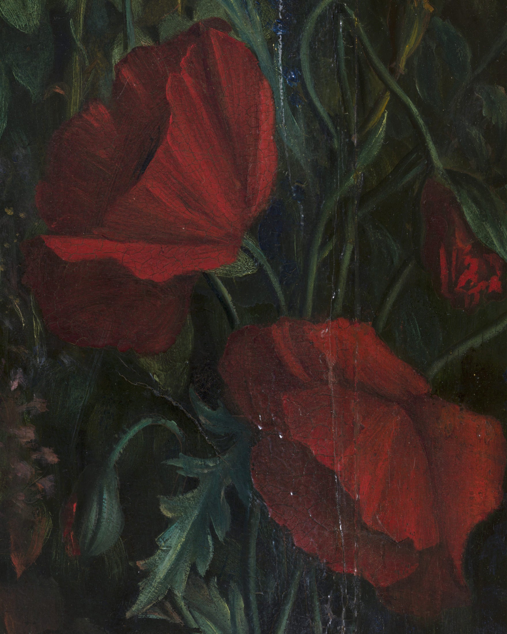 Louis Janmot "Fleur des Champs" Détail de la Main - Tulipes Rouges - Affiche