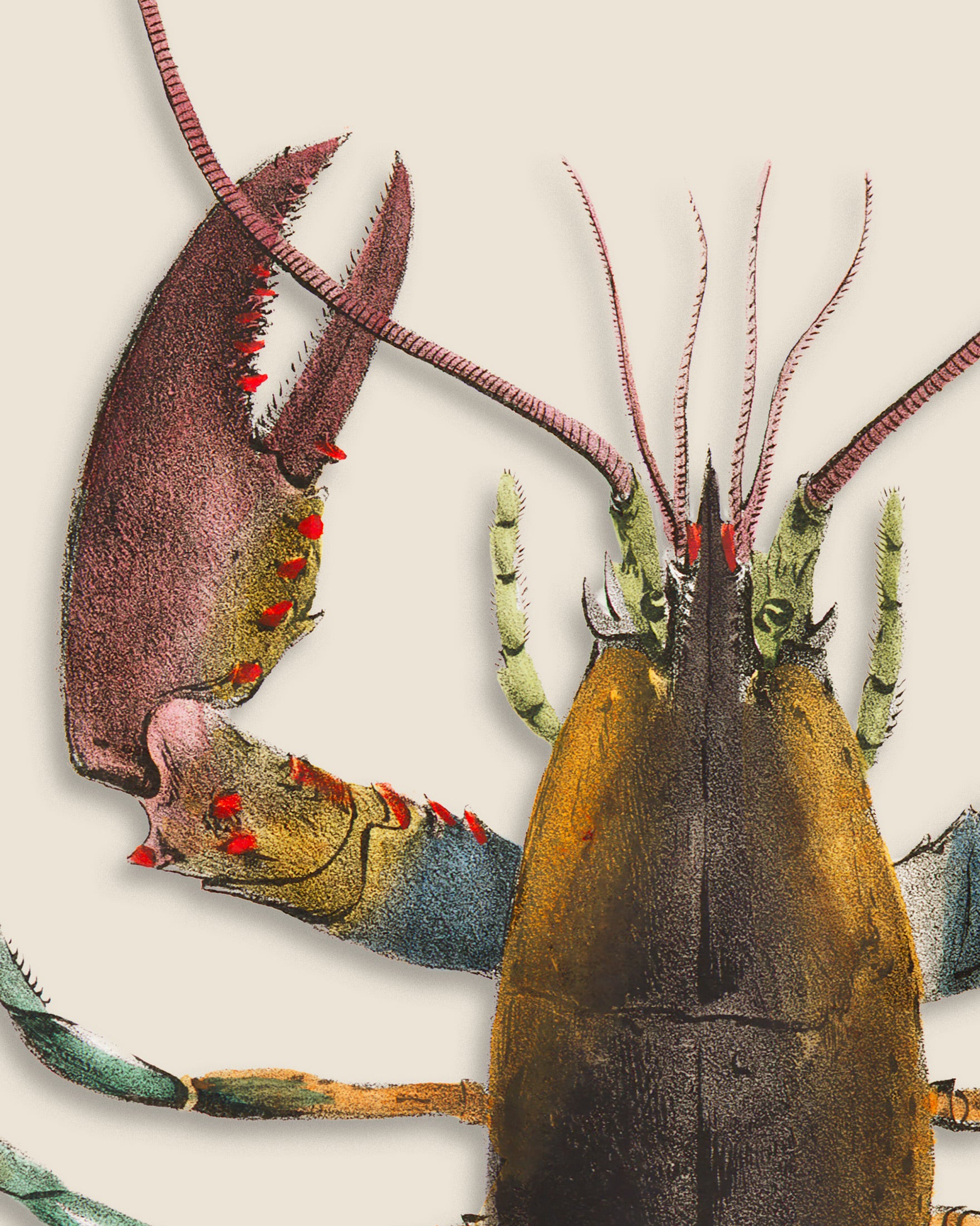 "Le Homard" - Affiche