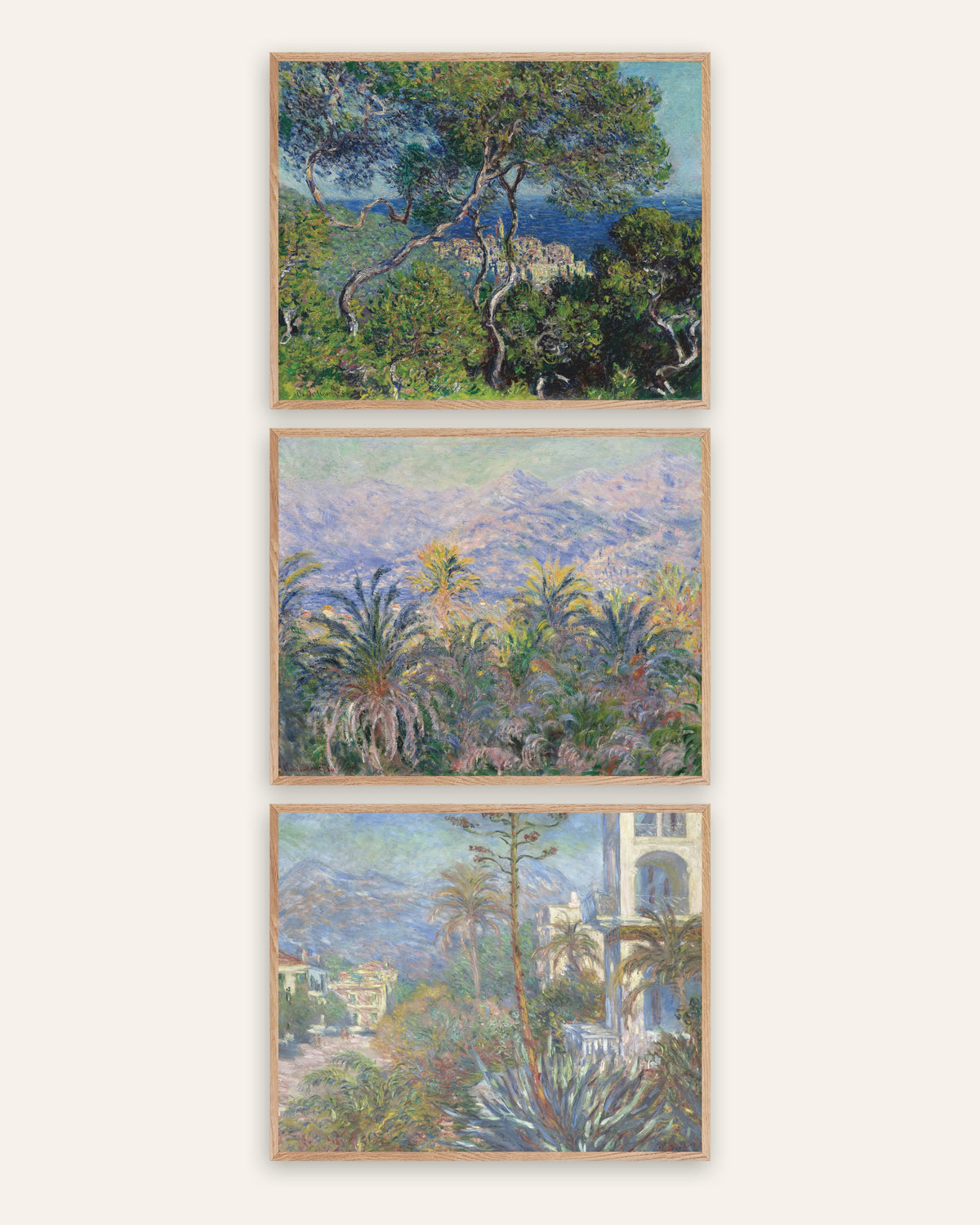 Affiches Monet Bordighera, lot de 3 : pins, palmiers et villas de la Riviera, cadres en chêne naturel