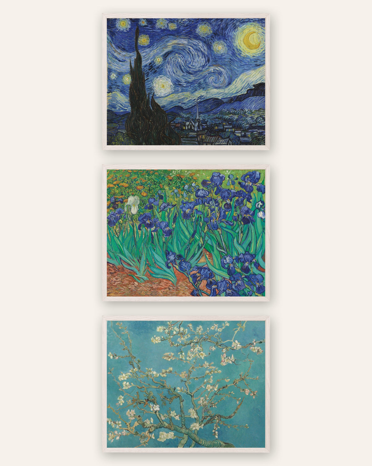 Affiches Van Gogh, lot de 3 : La Nuit étoilée, Iris et Branches d’amandier en fleurs, cadres en chêne blanc