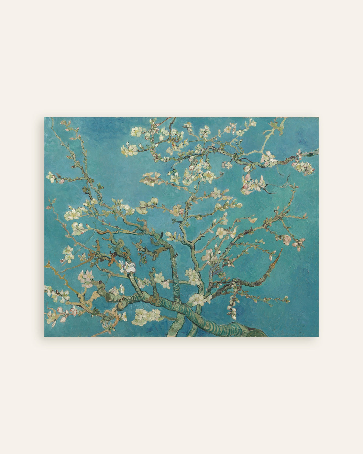 Poster de Fleurs d’amandier (1890) de Vincent van Gogh, vignette