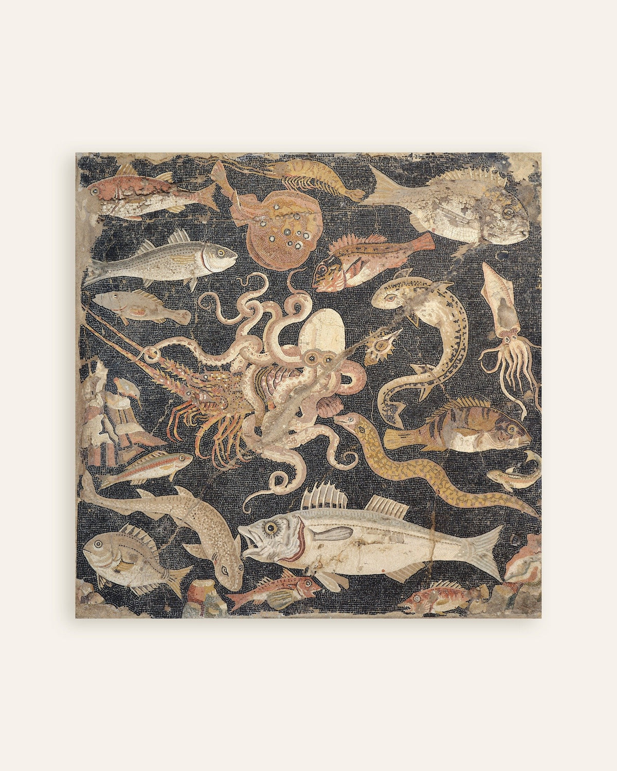 Affiche de la mosaïque aux poissons de Pompéi, faune marine romaine