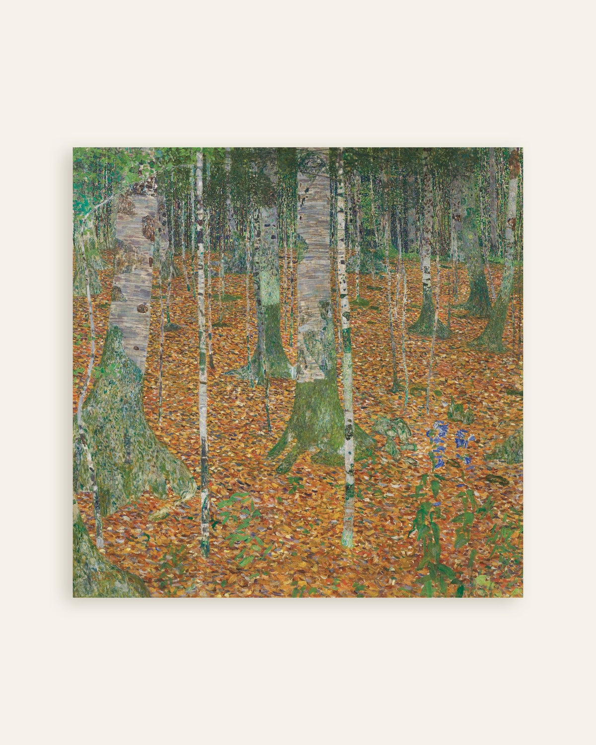 Affiche Forêt de bouleaux (1903) de Gustav Klimt, miniature