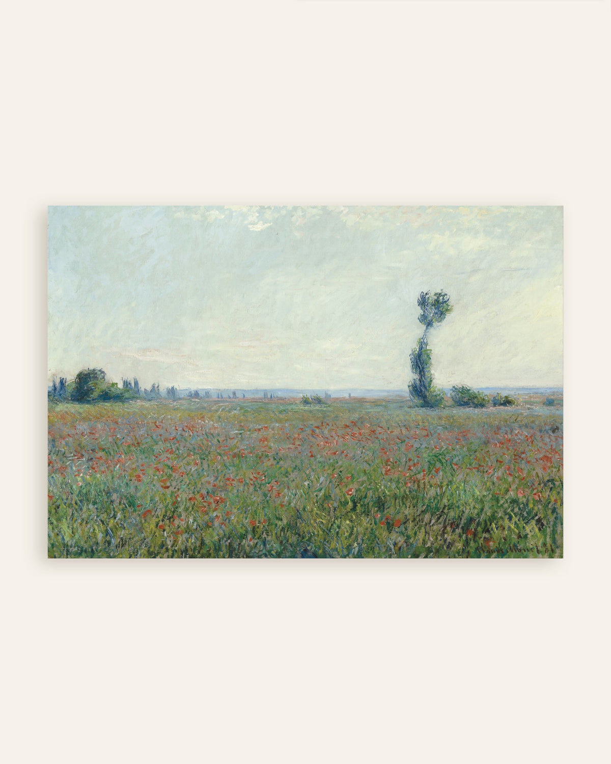 Affiche Champ de coquelicots de Claude Monet, miniature