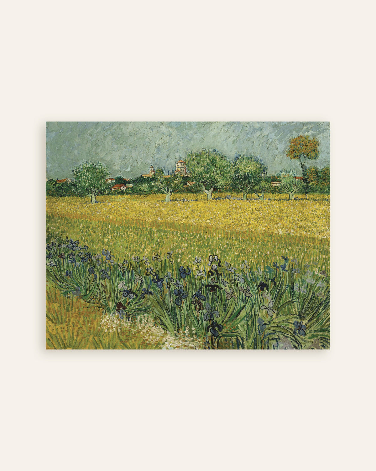 Poster de Champ d’iris près d’Arles (1888), Vincent van Gogh, en miniature