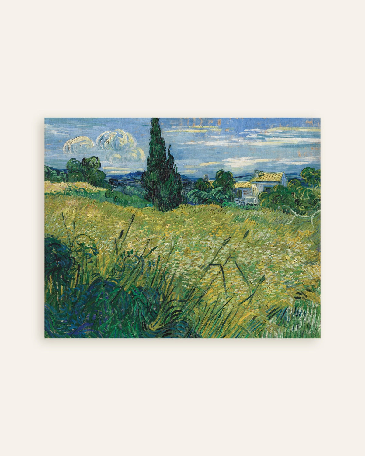 Poster Champ de blé vert avec cyprès (1889) de Vincent van Gogh, miniature