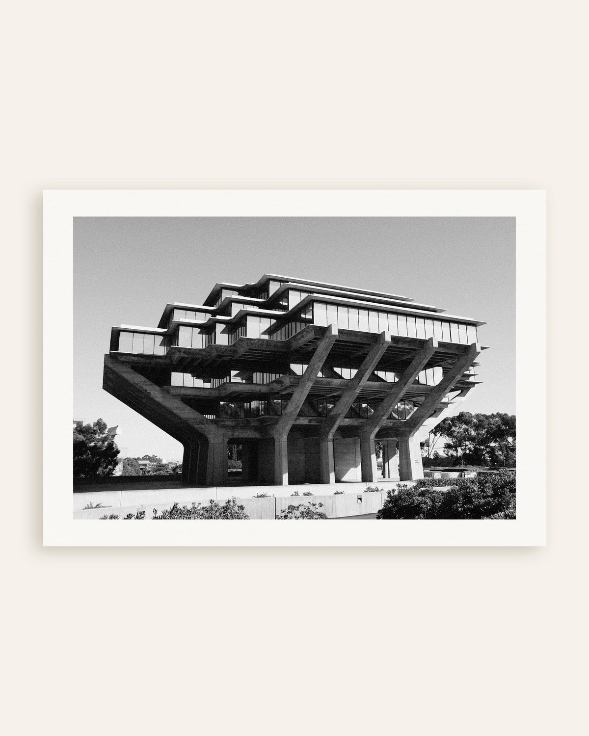 Affiche « Bibliothèque sur pilotis en béton », vignette