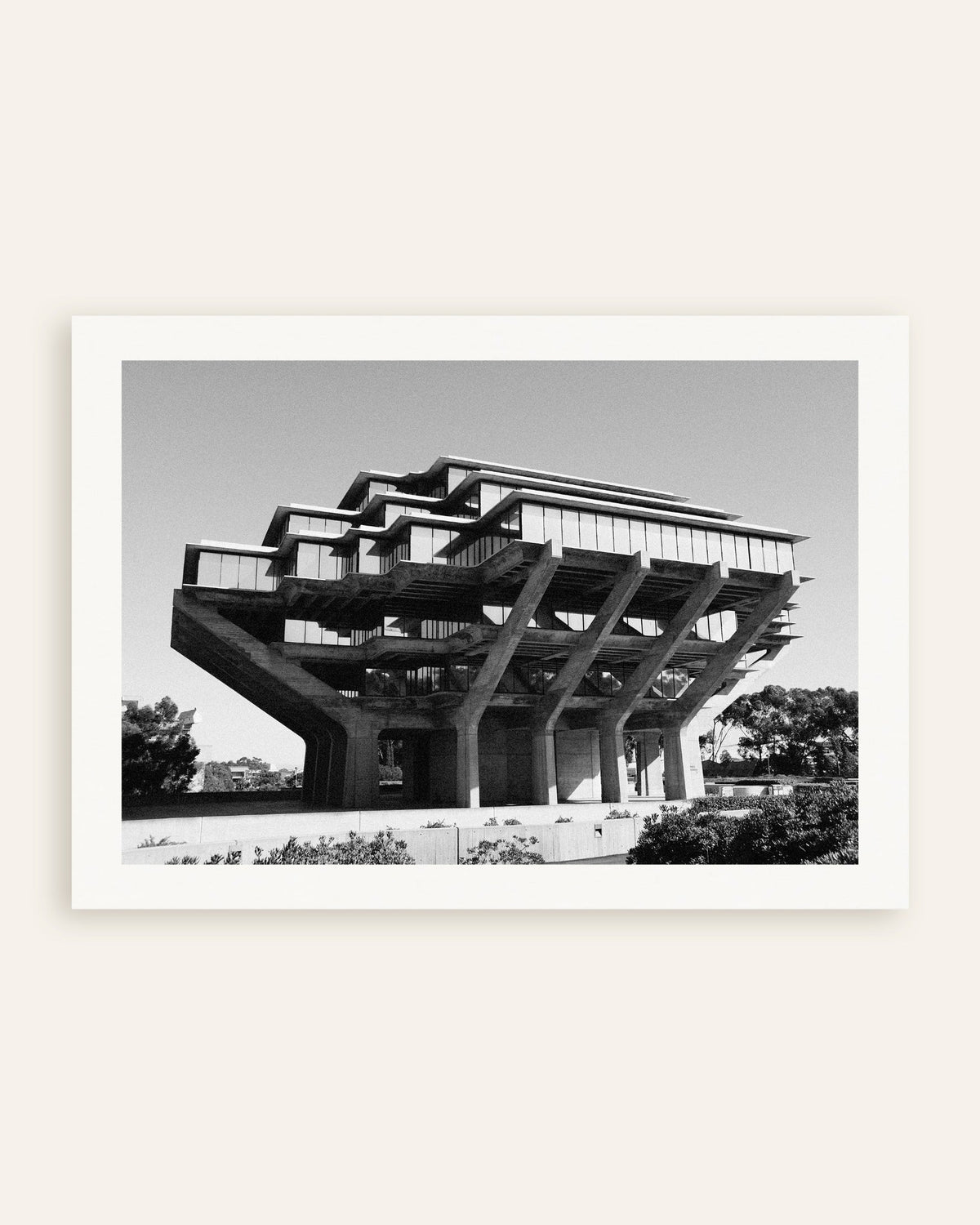 Affiche « Bibliothèque sur pilotis en béton », vignette