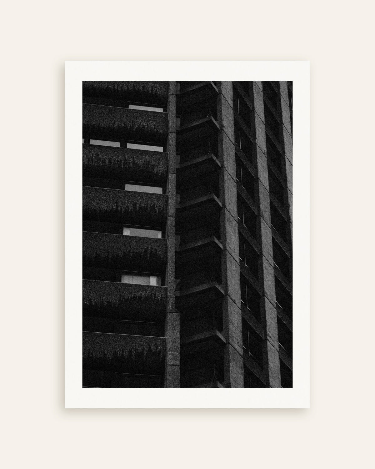 Affiche « Façade nocturne avec des plantes suspendues », vignette