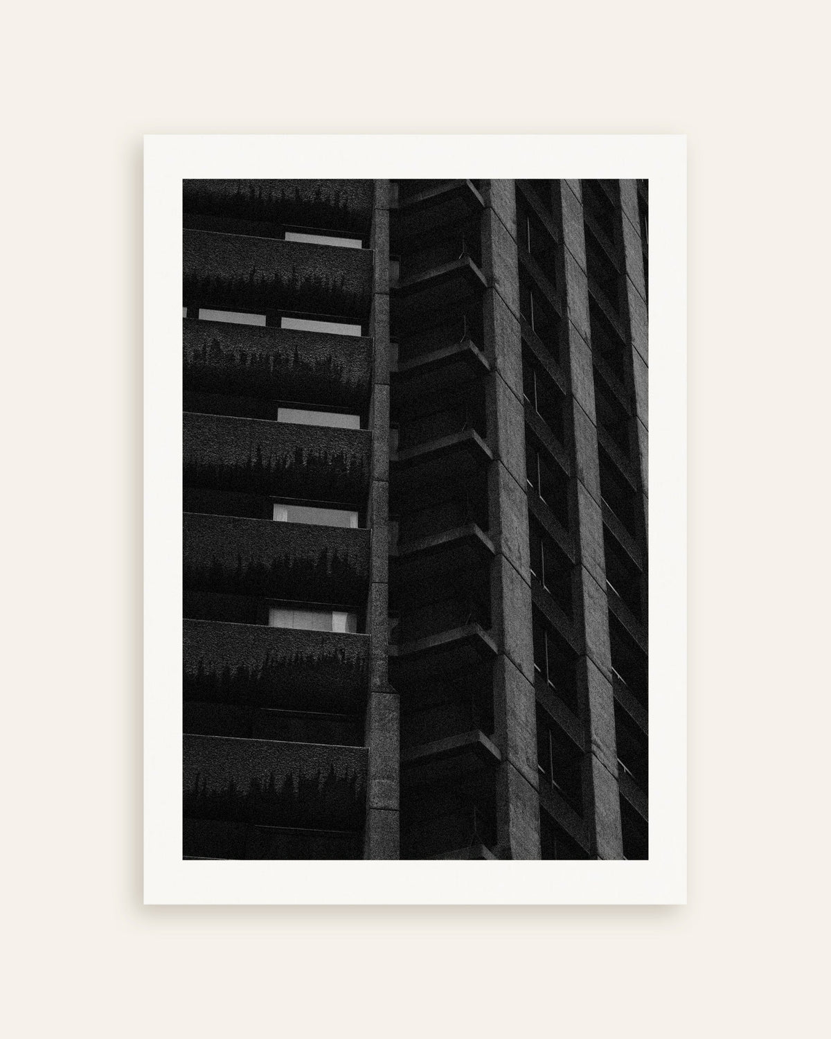 Affiche « Façade nocturne avec des plantes suspendues », vignette