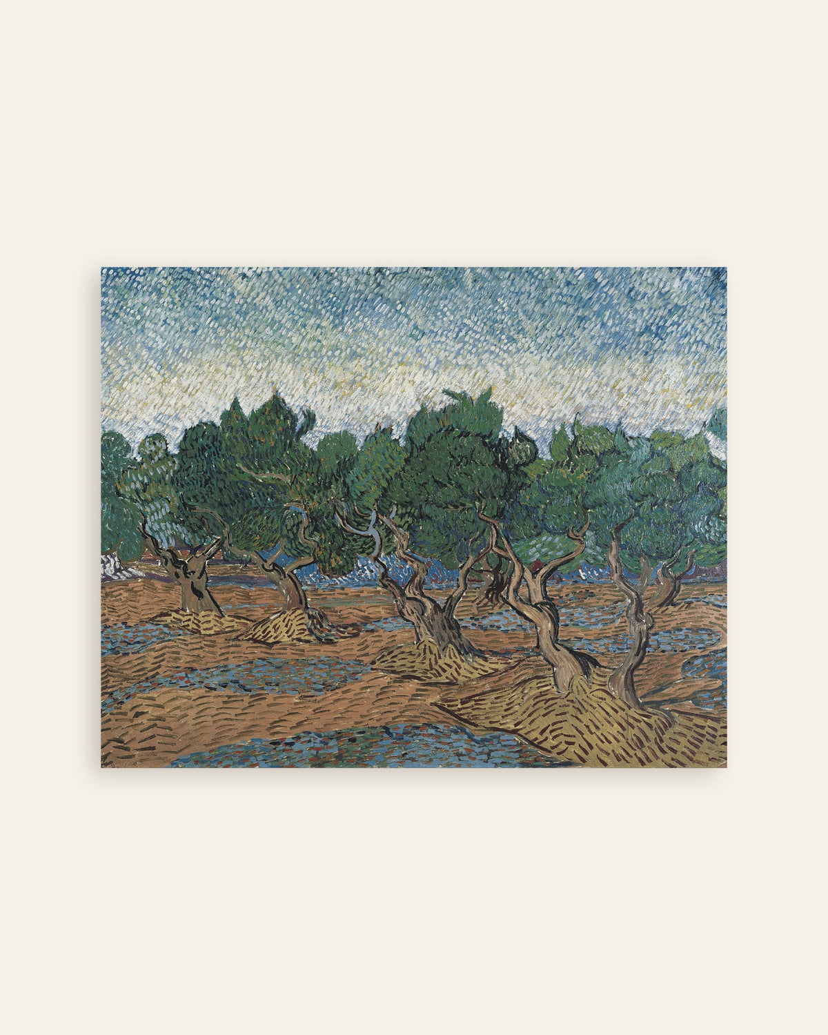 Poster représentant Oliveraie (1889) de Vincent van Gogh, miniature