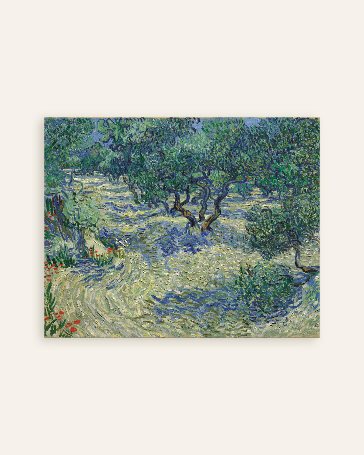 Poster de Verger d’oliviers (1889) de Vincent van Gogh, en miniature