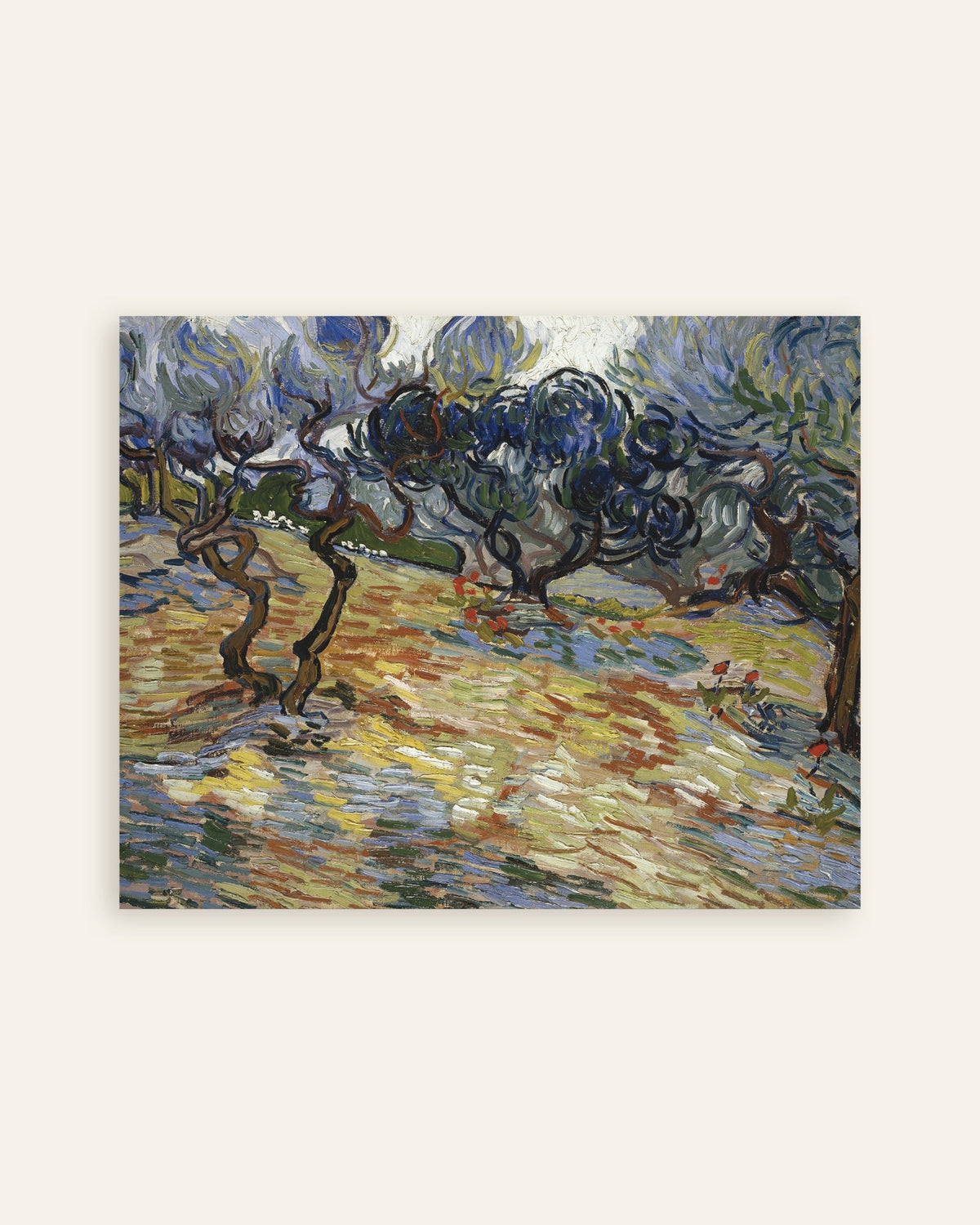 Poster de Les Oliviers (1889) de Vincent van Gogh, vignette