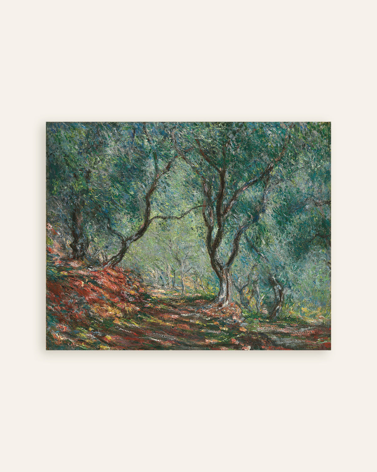 Affiche Bois d'oliviers au jardin Moreno (1884) de Claude Monet, miniature