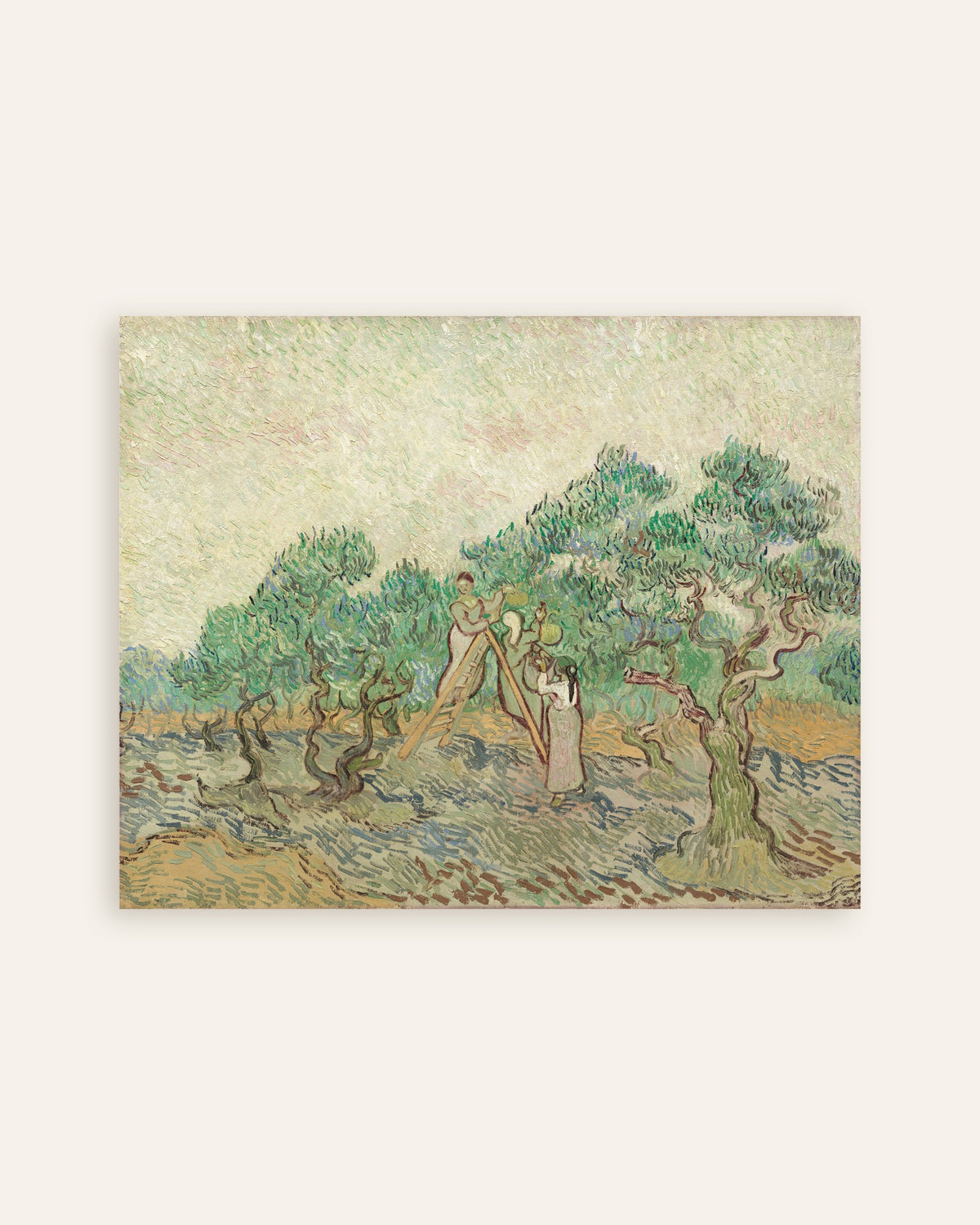 Poster Le Verger d’oliviers (1889) de Vincent van Gogh, vignette