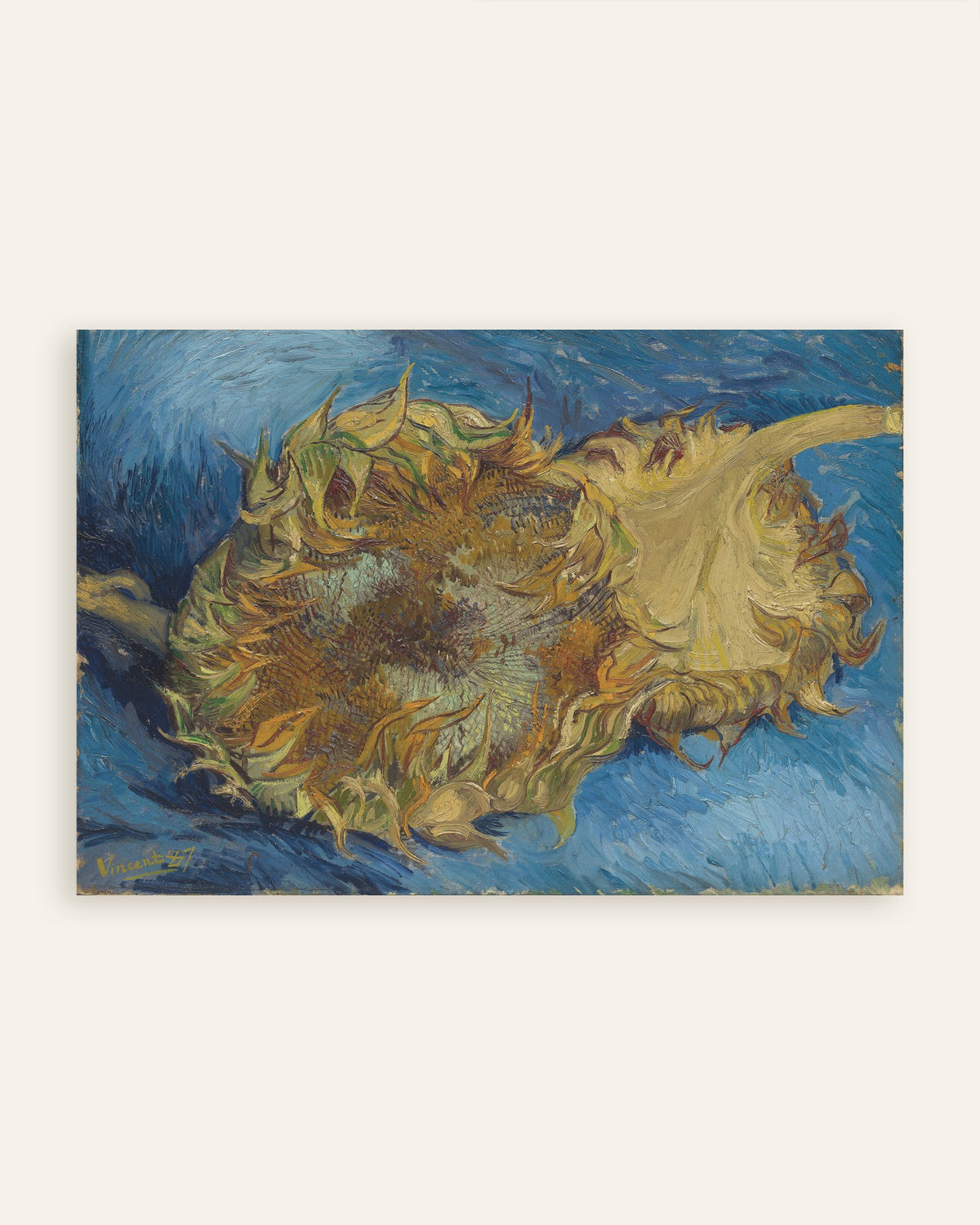 Poster de Deux tournesols coupés (1887), de Vincent van Gogh, en miniature