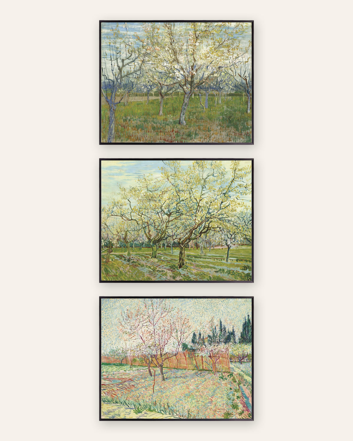 Affiches Van Gogh vergers en fleurs, lot de 3 : rose, blanc et bordé de cyprès, cadres en métal noir