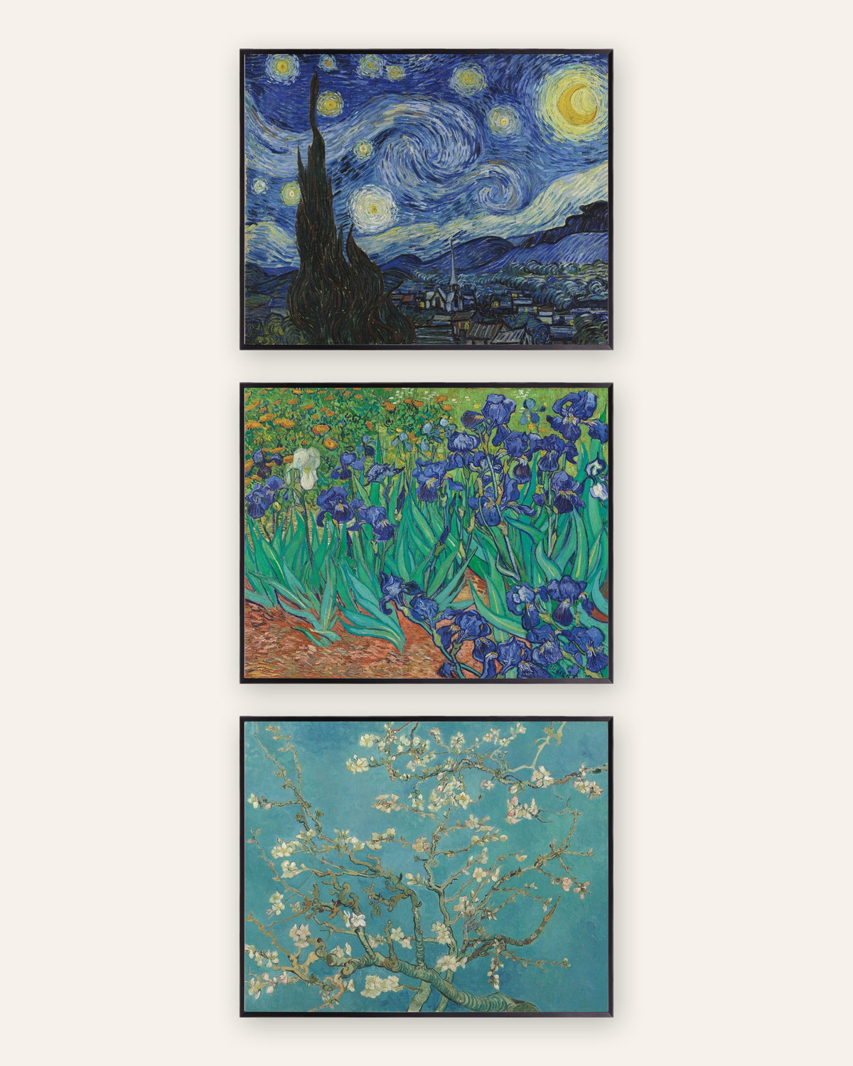 Affiches Van Gogh, lot de 3 : La Nuit étoilée, Iris et Branches d’amandier en fleurs, cadres en métal noir