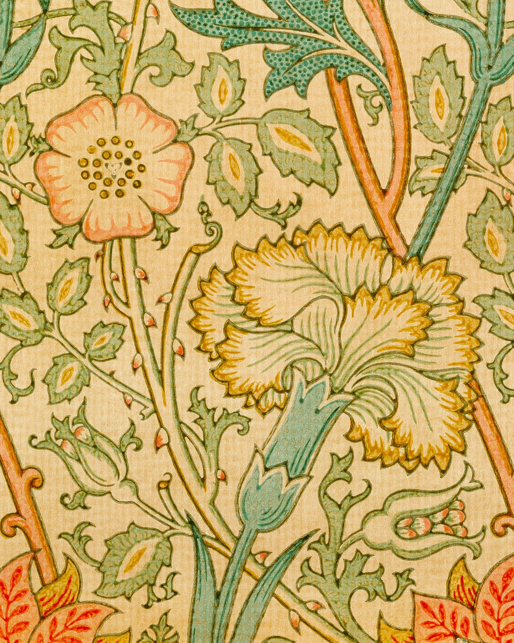 Papier peint William Morris - Affiche