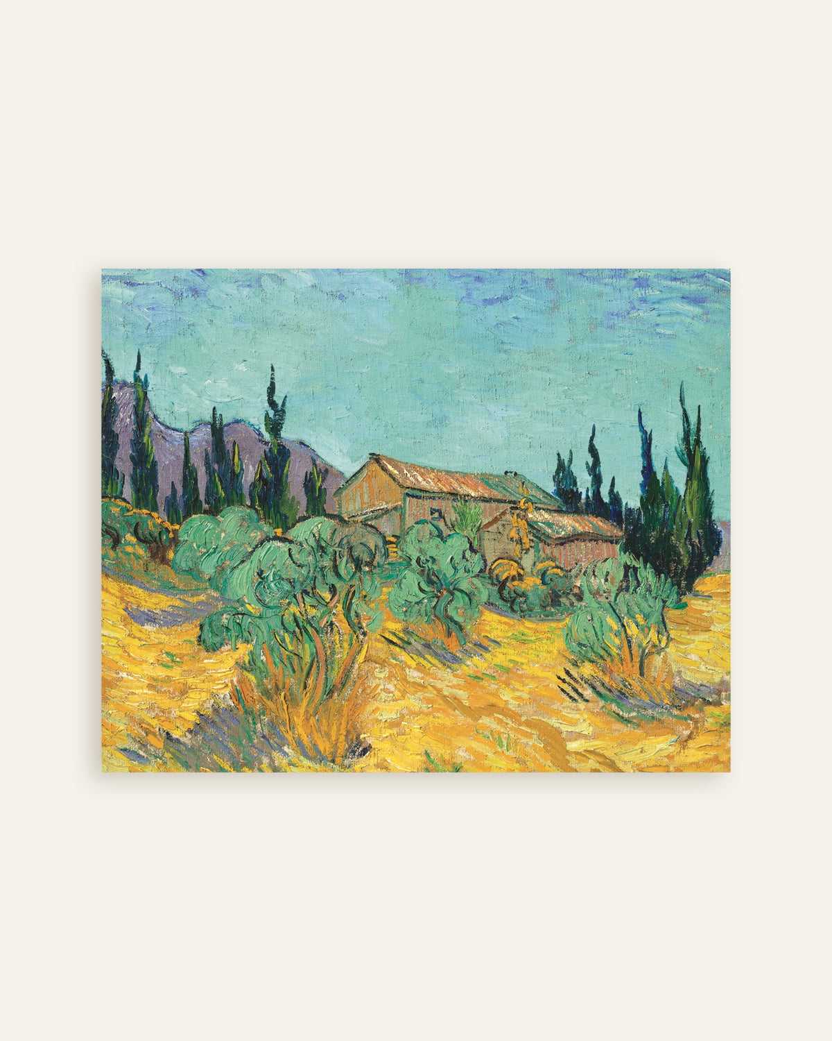 Poster de Cabanes en bois parmi les oliviers et les cyprès (1889), de Vincent van Gogh, en vignette